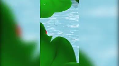 绿色立夏竖版海报视频的预览图